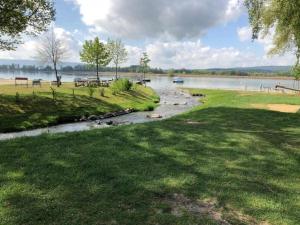 a river with a grassy field next to a body of water at Fewo Seenah in Radolfzell am Bodensee