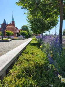 Fotografia z galérie ubytovania Młyn Maria - W Sercu Wrocławia Apartamenty vo Vroclavi