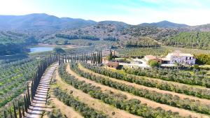 een luchtzicht op een wijngaard met een rivier en bergen bij KALI Srl Società Agricola in Castiglione della Pescaia