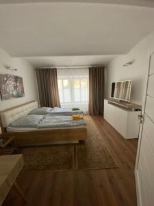 1 dormitorio con 1 cama grande y TV en Dana's Apartment beim Augarten, en Viena