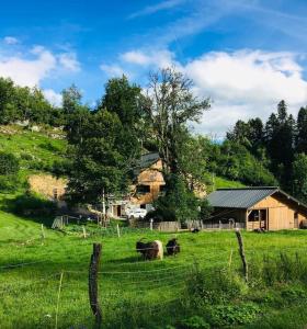 eine Herde von Tieren, die auf einem Feld vor einem Haus weiden in der Unterkunft Gîte le creux de vennes 