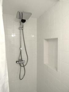 a shower with a shower head in a bathroom at Casa del Mexikana in Kerpen