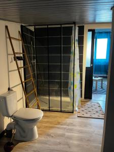 a bathroom with a toilet and a glass door at Appartement dans quartier résidentiel in Saint-Quentin