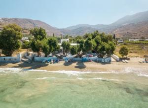 an aerial view of a beach with trees and the water at Lakki Village in Aegiali