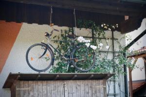 Una bicicleta está colgando de una pared con flores en Gartenwohnung im Gut Sonnenwald en Schöllnach