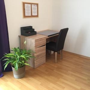 Fotografie z fotogalerie ubytování City-Appartement 3.2. v destinaci Zwickau