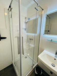 a glass shower in a bathroom with a sink at Apartment Eerste Reeg für 2-4 Personen mit Pool in Dahme