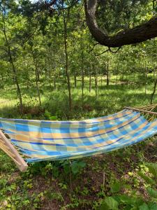 a hammock sitting in the grass under a tree at Prie Balto ežero plius in Zarasai