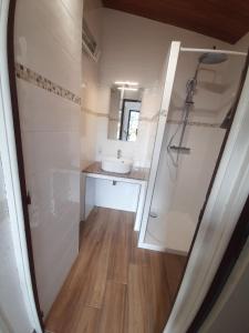 Kúpeľňa v ubytovaní PORTICCIO villa dans résidence avec piscines 4-6 personnes BRILOC Appartements