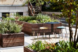 Zahrada ubytování Urban Yard Hotel