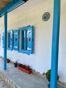 Casa cu stuf Murighiol في موريغيول: جدار مع نوافذ زرقاء وورود في الأواني