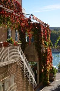 Un bâtiment avec un bouquet de fleurs sur lui dans l'établissement Auberge du Lac, à Bauduen