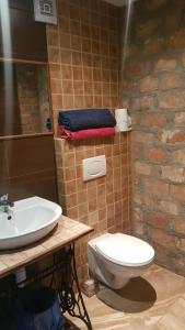 a bathroom with a toilet and a sink at Ranczo pod Babią Górą in Lipnica Wielka +82 photos
