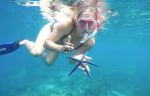 Snorkeling at/o diving sa lodge o sa malapit