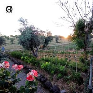 a garden with flowers and trees in a field at Herdade da Ordem in Cabeço de Vide