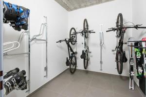 Fitness centrum a/nebo fitness zařízení v ubytování Wellness apartmán Kvilda
