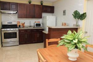 a kitchen with wooden cabinets and a table with a plant at Stylish 1r-1b Apt Near The Beach And Main Street in Sosúa