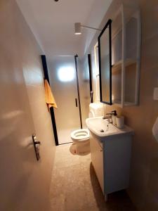 un piccolo bagno con servizi igienici e lavandino di Apartment Riko - accomodation "with" the Adriatic sea a Kampor