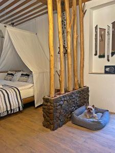 kot leżący w łóżku w pokoju z namiotem w obiekcie Cityside Cottage w Egerze