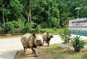 two hippos walking down a road next to a sign at Hotel Rhinoceros-Homestay in Sauraha