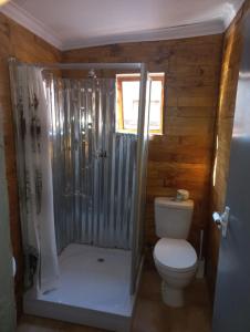 a bathroom with a toilet and a shower in it at Amaroks self catering units in Sabie