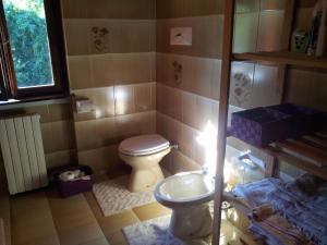 ein Bad mit einem WC und einem Waschbecken in der Unterkunft I Tre Ciliegi Apartment in SantʼOmobono Imagna