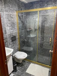 uma casa de banho com um WC e uma cabina de duche em vidro. em Grand Merin Airport Hotel em Istambul