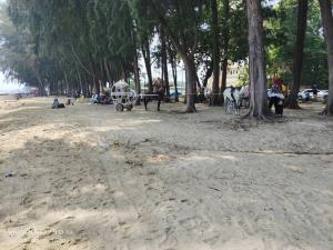 a park with a horse drawn cart on the beach at NurIzz Condostay Homestay Pantai Puteri Melaka in Kampong Bukit Darat