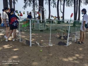 a group of people looking at dogs in a cage at NurIzz Condostay Homestay Pantai Puteri Melaka in Kampong Bukit Darat