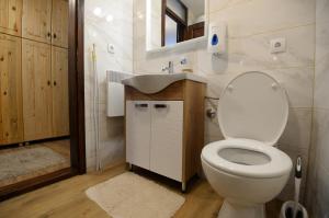 a bathroom with a toilet and a sink at Apartmani Pahulja in Jahorina