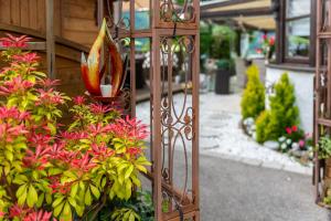 Zahrada ubytování Das Maximilian - Feines Landhotel am Schliersee