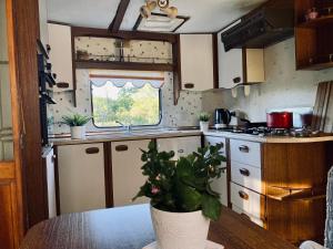 a kitchen with a table with a potted plant on it at Brīvdienu treileris in Mērsrags