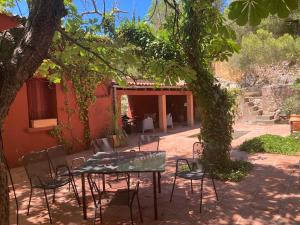 Ogród w obiekcie Maison au coeur d'un vignoble