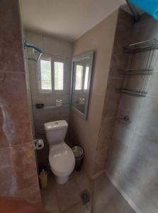a small bathroom with a toilet and a shower at Azalea Garden Apartment With Mountain View in Kremasti +42 photos