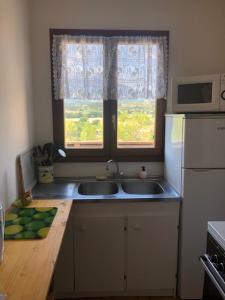 cocina con fregadero, nevera y ventana en villa des pins, en Tallard
