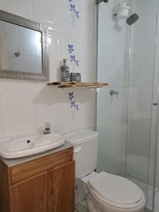 uma casa de banho com um WC, um lavatório e um chuveiro em Centro las Bovedas A2-31 apartamento em Cartagena das Índias