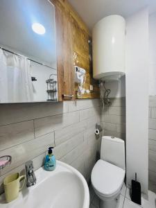 a bathroom with a white toilet and a sink at Mitarbi Silence - cozy holiday cottages in mountains in Borjomi