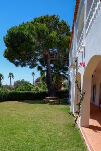 a yard with a tree and a picnic table at Casa Carioca Carvoeiro in Carvoeiro