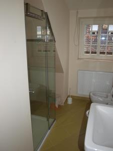 a bathroom with a glass shower and a toilet at Dalimilka in Litoměřice