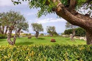 a park with trees and green grass and bushes at Hotel Villa Melodie - Adults Only in Ischia