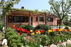 Vonkajšia záhrada v ubytovaní Villa Fragola - Holiday house with large garden