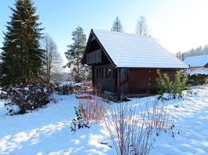 una pequeña cabaña en la nieve con árboles en Chalet Panorama 