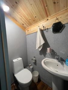 a bathroom with a toilet and a sink at Mitarbi Silence - cozy holiday cottages in mountains in Borjomi