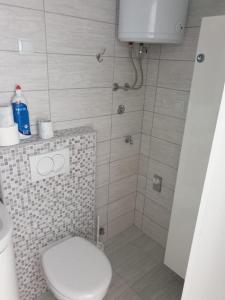 特里班的住宿－Apartmani Sain Tribunj，一间带卫生间和瓷砖淋浴的浴室