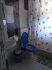 a bathroom with a blue toilet and a shower at Casa Pestera Ponicova in Dubova +13 photos