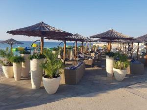 Naturlandskabet i nærheden af lejligheden