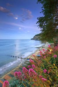 Blick auf einen Strand mit rosa Blumen und das Meer in der Unterkunft Beautiful Barn Conversion, 3 Bed, hot tub, sauna, gym, enclosed garden in Ryde + 29 Fotos