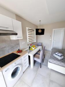eine Küche mit einem Tisch und einer Waschmaschine. in der Unterkunft Villa Ines with private parking in Zgornje Škofije