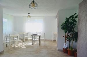 a dining room with tables and chairs and a plant at Vila Norina in Oeşti-Pămînteni