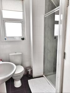 La salle de bains est pourvue de toilettes, d'un lavabo et d'une douche. dans l'établissement Gwynedd House Flat 1, à Pentraeth